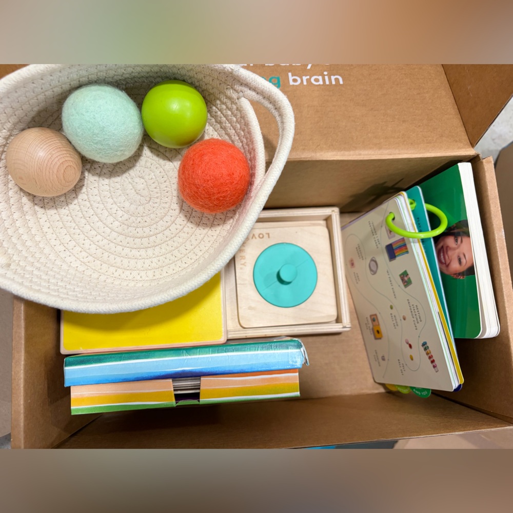 Montessori The Inspector Play Kit 7-8mos